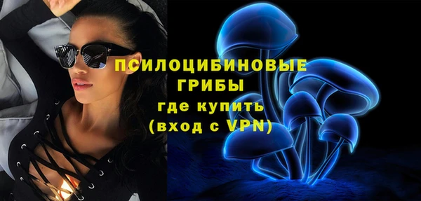 мяу мяу мука Осинники