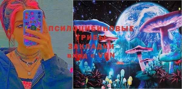 мяу мяу мука Осинники