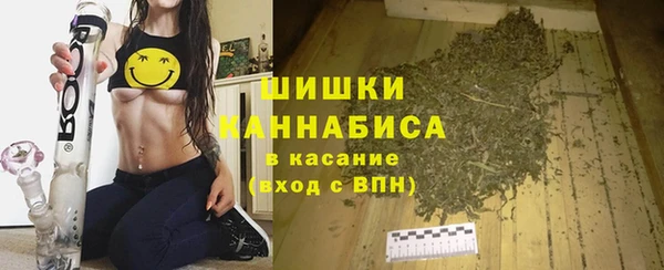прущие крисы Осташков