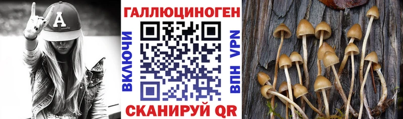 что такое наркотик  Заводоуковск  Галлюциногенные грибы Cubensis 