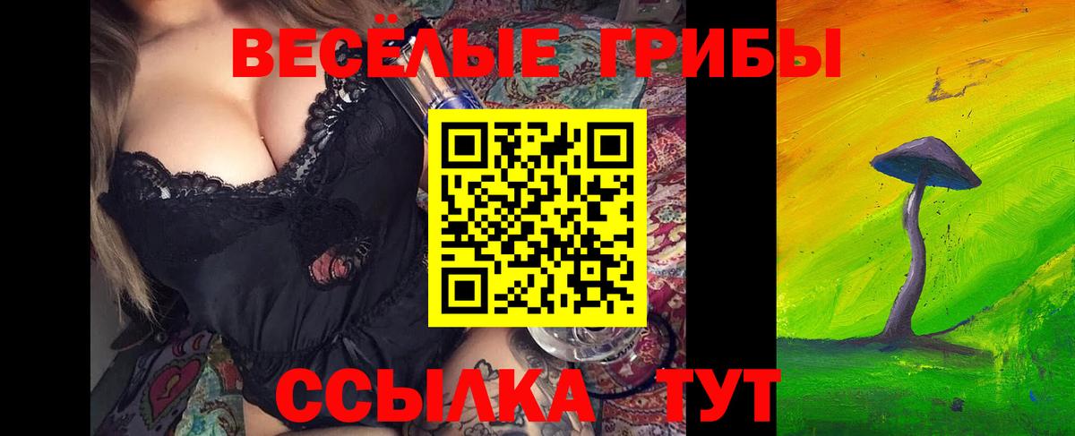 Псилоцибиновые грибы Cubensis Заводоуковск