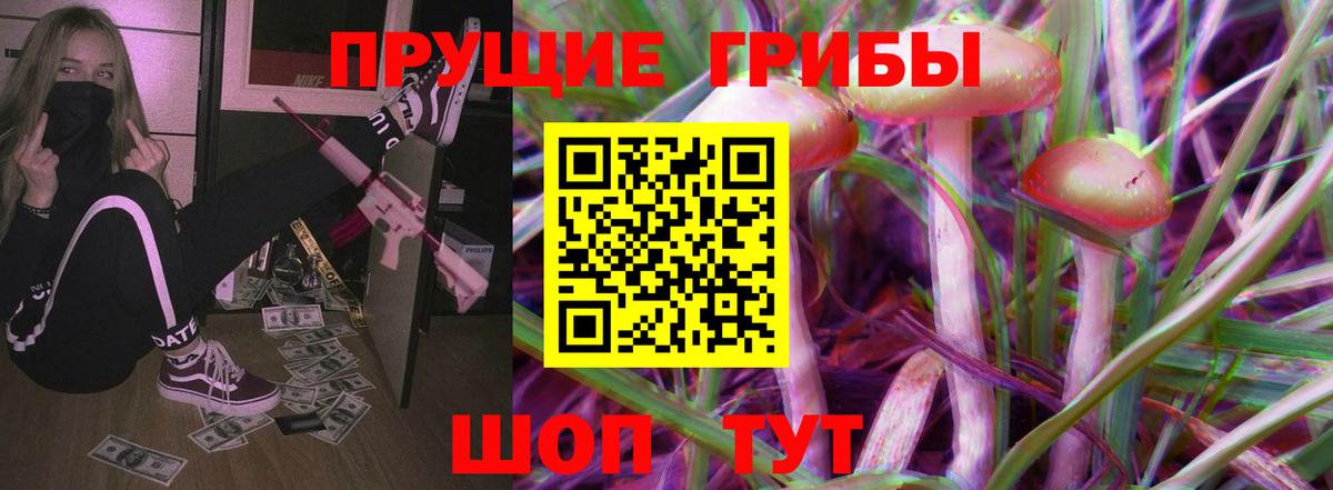 Псилоцибиновые грибы Psilocybe  Заводоуковск  купить наркоту  Галлюциногенные грибы мицелий 