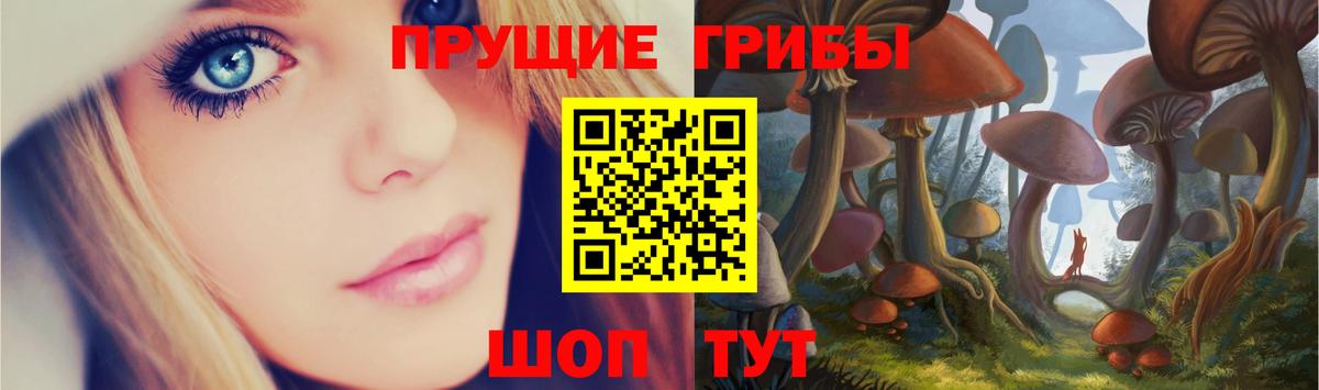 Галлюциногенные грибы Cubensis  Псилоцибиновые грибы мухоморы  Заводоуковск  Вход с VPN 